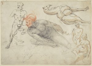 Studier av manliga och kvinnliga nakenstudier, en satyr och en kamel (recto); Staty av Marcus Aurelius (verso) av Cherubino Alberti