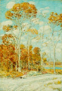 Hökboet av Childe Frederick Hassam