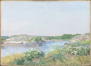 Den lilla dammen, Appledore