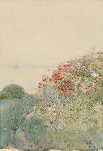 Field of Poppies, Isles of Shoals av Childe Hassam