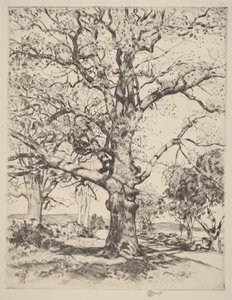 av Childe Hassam