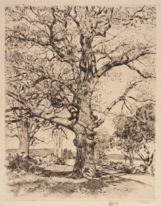 Wayside Inn Oaks på våren av Childe Hassam