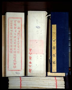 Kinesiska undersökningsark (bläck på papper) av Chinese School
