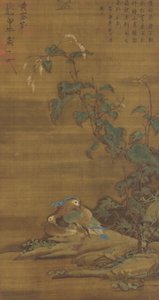 Mandarinänder under smartweed, Ming- eller Qing-dynastin, 1400-1700-talet
