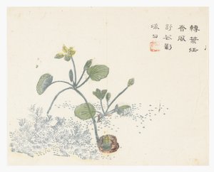 Senapsfröträdgård av Chinese School