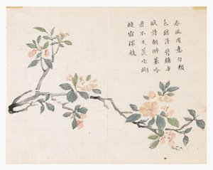 Senapsfröträdgård av Chinese School