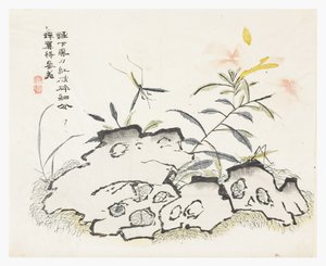 Senapsfröträdgård av Chinese School