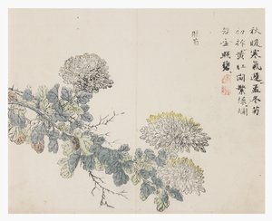 Senapsfröträdgård av Chinese School