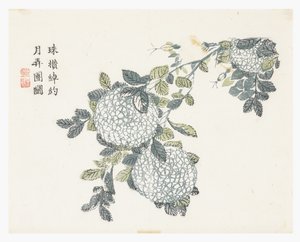 Senapsfröträdgård av Chinese School