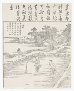 Sår riset i en fröbädd., 1700-tal av Chinese School