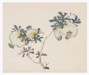 Tio bambuserier, 1700-tal av Chinese School