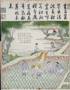 Ogräsrensning, riskulturen i Kina (träblock i färg) av Chinese School