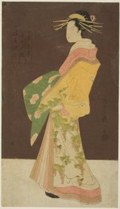 En webbplats från en butik: Hanamurasaki från Tamaya figur) av Chobunsai Eishi