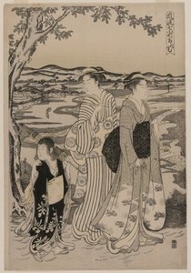 Omu the Parrot (från serien Seven Elegant Episodes from the Life of the Poetess Ono no Komachi)