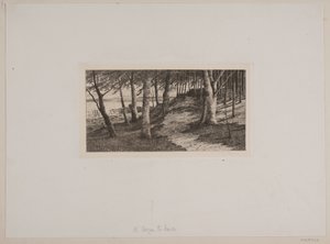 Från Maribo av Chr. Benzon