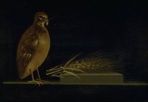 En vaktel som äter ett majsöra av Christen Købke