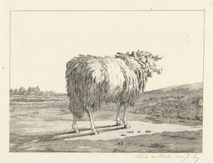 Får i ett landskap av Christiaan Godfried Schutze van Houten