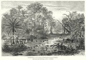 Vägen genom djungeln i Zulia, Venezuela (litho) av Christian Anton Goering