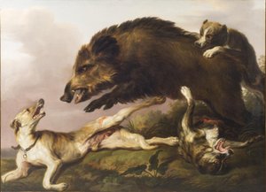 Vildsvinsjakt