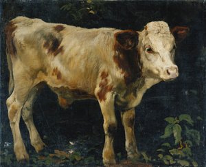 En tjurkalv, 1876