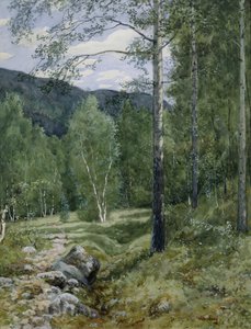 Vår i skogen (akvarell på papper)