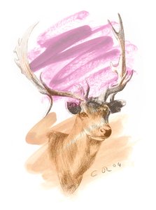 Stags Head - Cerise Sienna, 2004 (olja och conte på papper) av Christian Furr