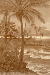 Stranden i Waikiki, Hawaii, 1898.