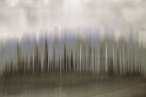 Suddig skogsspegelbild av Christina Sillen