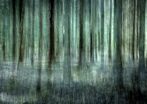 Eterisk skogsoskärpa
