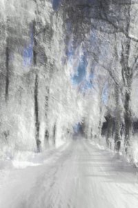 En eterisk snöklädd stig av Christina Sillen
