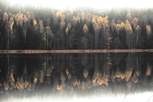 Dimhöljd höstspegelbild av Christina Sillen