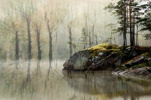 Dimskogens sjö av Christina Sillen