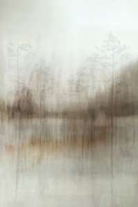 Reflektioner i den dimmiga skogen av Christina Sillen