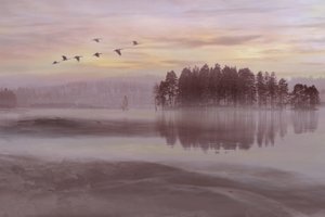 Fåglar i flykt över Misty Lake av Christina Sillen