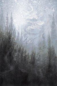 Dimhöljd vinterskog av Christina Sillen
