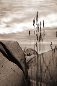 Vass vid havet av Christina Sillen