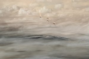 Silver Haze av Christina Sillen