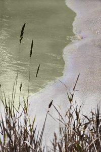 Lugnt strandgräs av Christina Sillen