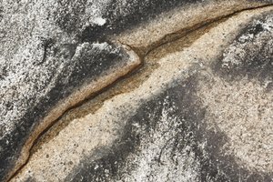 Spricka i vittrad sten av Christina Sillen