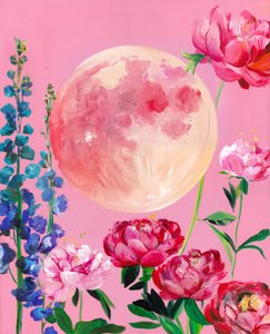 Drömlika rosa måneblommor av Christine Lindstrom
