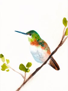 En grön kolibri som sitter på en gren av Christine Lindstrom