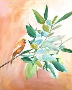 Orange Bird-filialen