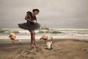 Ballerina och strandflamingor av Christine von Diepenbroek