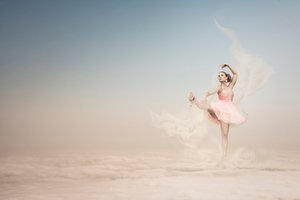 Den svävande ballerinans dröm av Christine von Diepenbroek