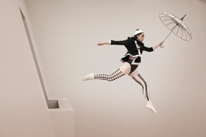 Harlekins fantasifulla flykt av Christine von Diepenbroek