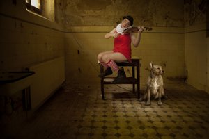 En originell rums-serenad av Christine von Diepenbroek