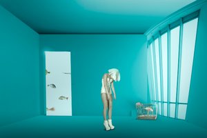 inburning av Christine von Diepenbroek