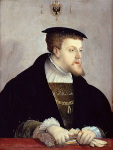 Porträtt av kejsar Karl kvint eller V (1500-1558) "" - Porträtt av kejsar Karl V (1500-1558) av Amberger, Christoph (ca 1500-1562), ca 1532 - Olja på trä, 67,2x50 , 7 - Statliga museer, Berlin