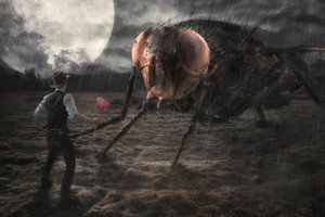 Mötet med den gigantiska flugan av Christophe Kiciak