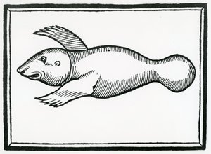 En fisk kallad "Manati" från "la Historia general de las Indias" 1547